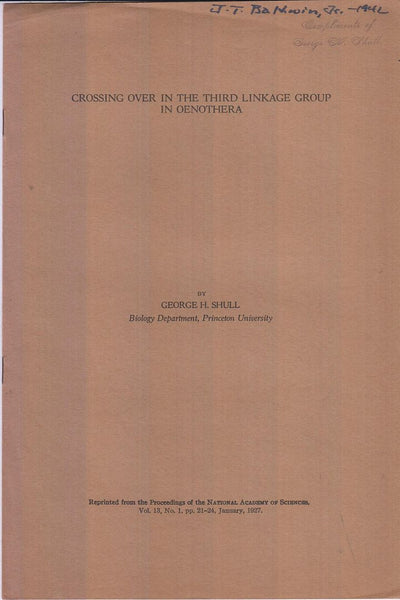 Crossing Over in the Third Linkage Group in Oenothera