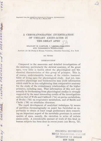 A Chromatographic investigation of Urinary Amino-Acids in the Great Apes