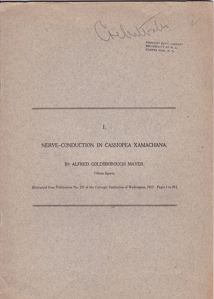 1. Nerve-Conduction in Cassiopea Xamachana