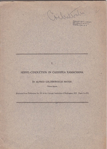 1. Nerve-Conduction in Cassiopea Xamachana