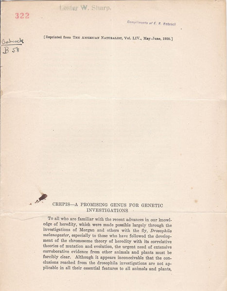 Crepis- A Promising Genus for Genetic Investigations