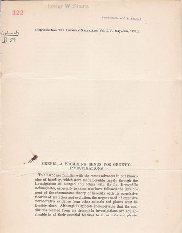 Crepis- A Promising Genus for Genetic Investigations