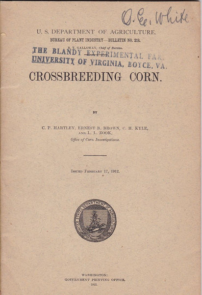 Crossbreeding Corn