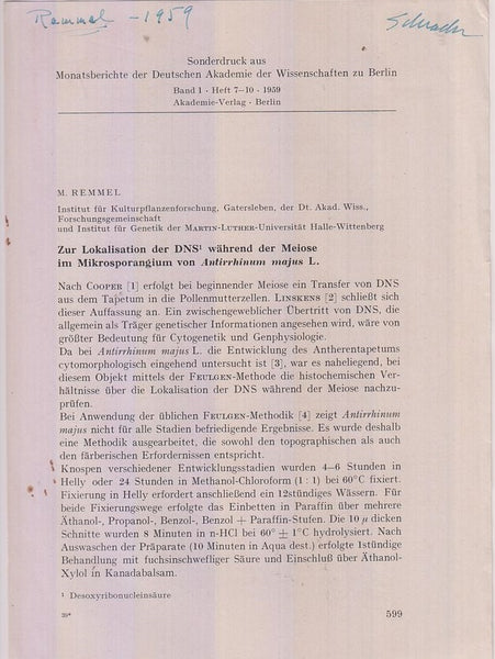 Zur Lokalisation der DNS wahrend der Meiose im Mikrosporangium von Antirrhinum majus L.  by Remmel, M.