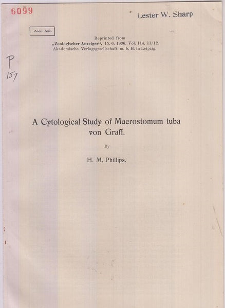 A Cytological Study of Macrostomum tuba von Graff  by Phillips, H.M.
