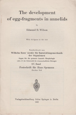 The Development of Egg-Fragments in Annelids