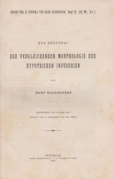 Zur Kenntnis der Vergleichenden Morphologie der Hypotrichen Infusorien