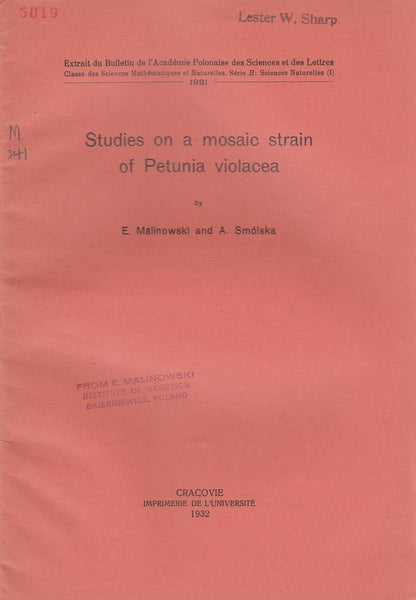 Studies on a Mosaic Strain of Petunia Violacea