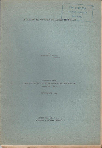 Atavism in Guinea-Chicken Hybrids