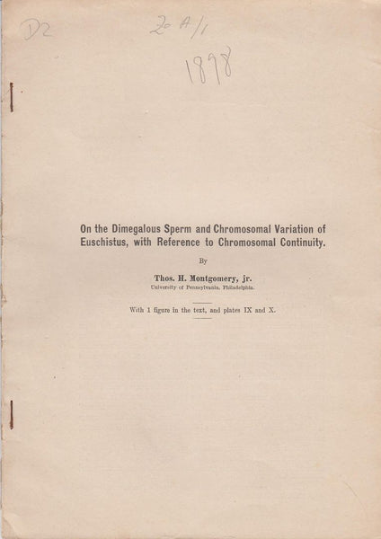 On the Dimegalous Sperm and Chromosomal Variation of Euschistus, with Reference to Chromosomal Continuity