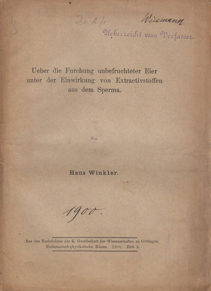 Ueber die Furchung unbefruchteter Eier unter der Einwirkung von Extractivstoffen aus dem Sperma