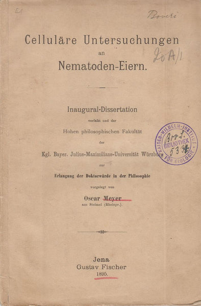 Cellulare Untersuchungen an Nematoden-Eiern