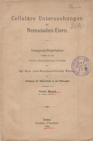 Cellulare Untersuchungen an Nematoden-Eiern