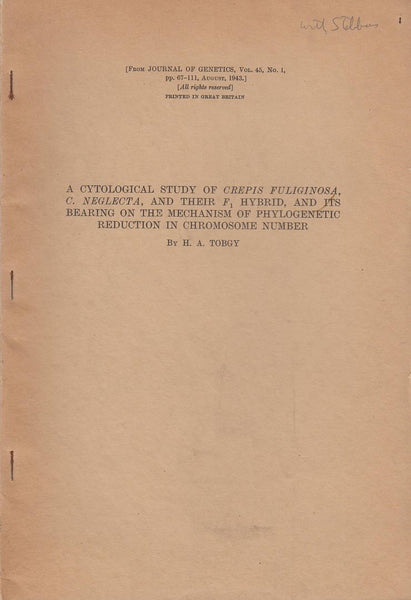 A Cytological Study of Crepis Fuliginosa, C. Neglecta, and their F1 Hybrid, and its Bearing on the Mechanism of Phylogenetic Reduction in Chromosome Number