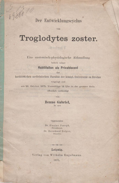 Der Entwicklungscyclus von Troglodytes zoster