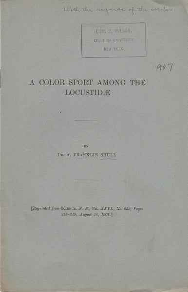 A Color Sport Among the Locustidae