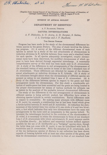 Datura Investigations