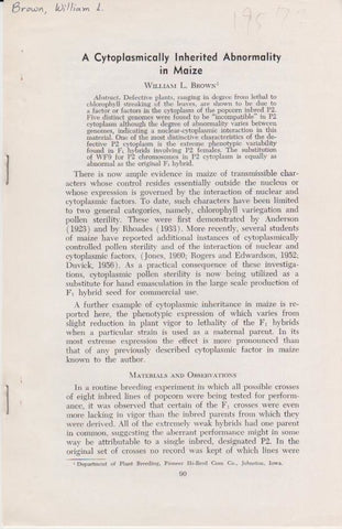 A Cytoplasmically Inherited Abnormality in Maize