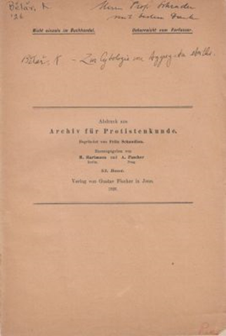 Zur Cytologie von Aggregata eberthi (Bemerkungen zu der Arbeit "The Life-History and Chromosome Cycle of Aggregata eberthi" von C.C. Dobell