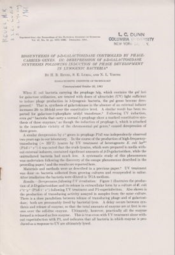 Biosynthesis of B-D-Galactosidase Controlled by Phage-Carried Genes. III. Derepression of B-D-Galactosidase Synthesis following Induction of Phage Development in Lysogenic Bacteria