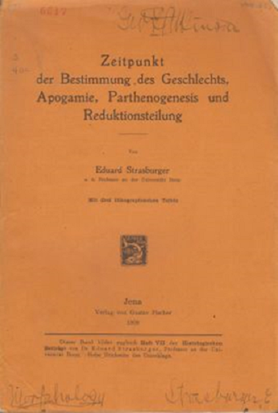 Zeipunkt der Bestimmung des Geschlechts, Apogamie, Parthenogenesis und Reduktionsteilung