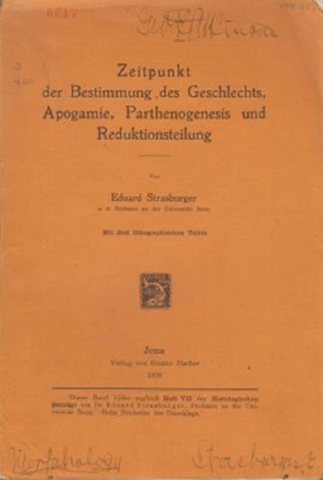 Zeipunkt der Bestimmung des Geschlechts, Apogamie, Parthenogenesis und Reduktionsteilung