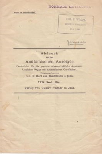 Das Chromatische Element wahrend der Entwickelung des Ovocyts des Triton