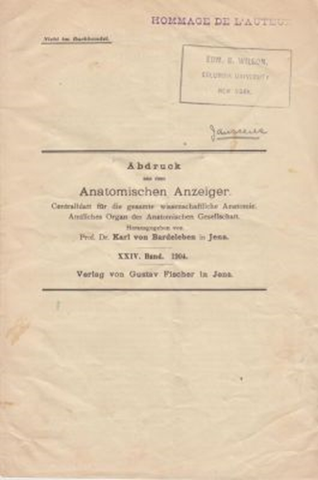 Das Chromatische Element wahrend der Entwickelung des Ovocyts des Triton