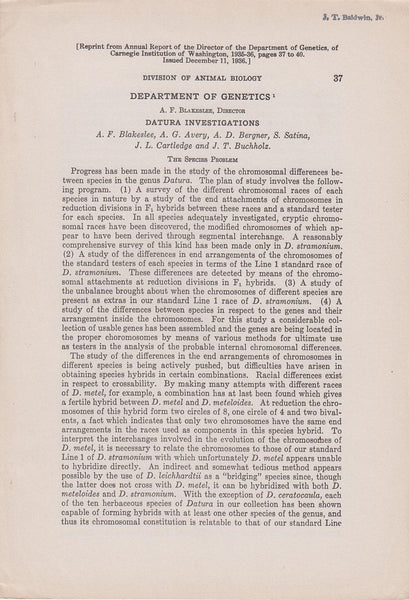 Datura Investigations: The Species Problem