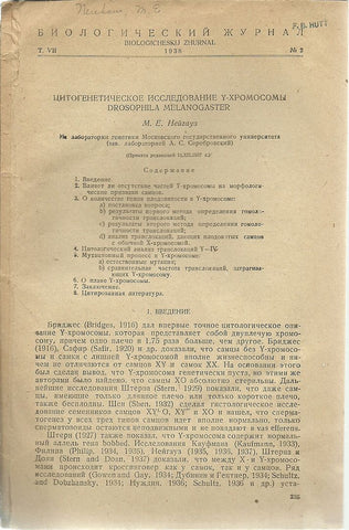 A Cyto-Genetic Study of the Y-Chromosome in Drosophila Melanogaster (mostly in Russian)