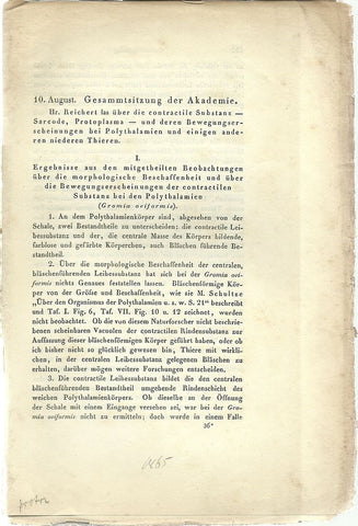 Uber die contractile substanz (sarcode, protoplasma) und ihre bewegungs-erscheinungen bei polythalamien und einigen anderen niederen thieren