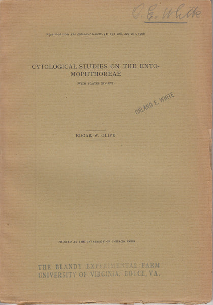 Cytological Studies on the Entomorphthoreae
