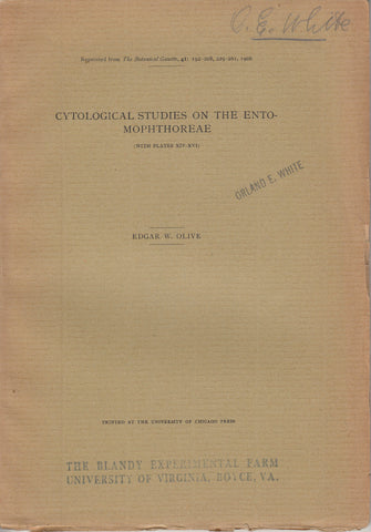 Cytological Studies on the Entomorphthoreae