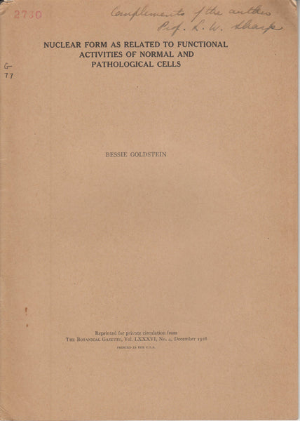 Nuclear Form as Related to Functional Activities of Normal and Pathological Cells