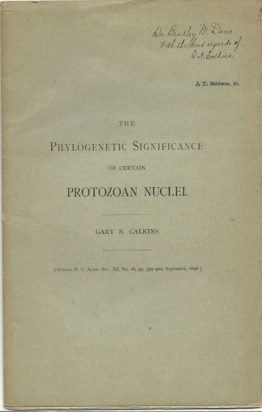 The Phylogenetic Significance of certain Protozoan Nuclei