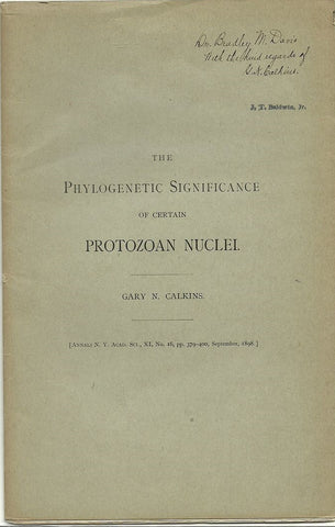 The Phylogenetic Significance of certain Protozoan Nuclei