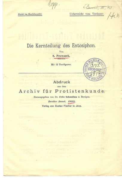 Die Kernteilung des Entosiphon