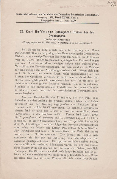 Cytologische Studien bei den Orchidaceen  by Hoffmann, Kurt