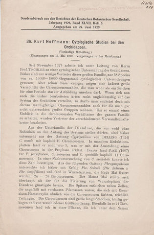 Cytologische Studien bei den Orchidaceen  by Hoffmann, Kurt