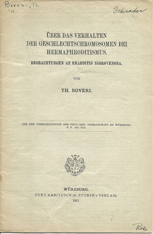 Uber Das Verhalten Der Geschlechtschromosomen Bei Hermaphroditismus. Beobachtungen An Rhabditis Nigrovenosa