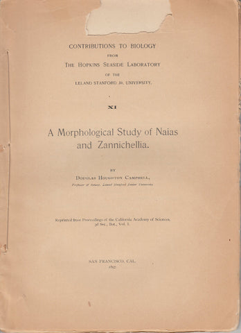 XI. A Morphological Study of Naias and Zannichellia