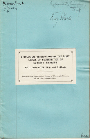 Cytological Observations on the Early Stages of Segmentation of Echinus Hybrids